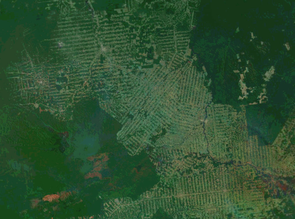  to total deforestation in the amazon most soybean cultivation takes ...