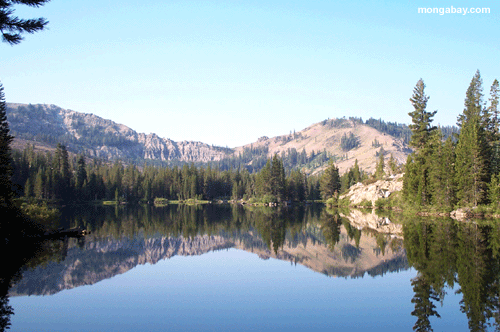 Lake in the California Sierra Nevadas