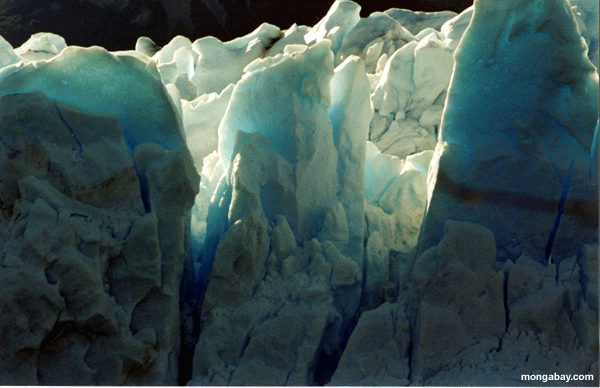 plan rapproché sur Perito Moreno Glacie