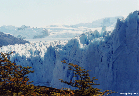Glaciar de Perito Moreno en la Argentina