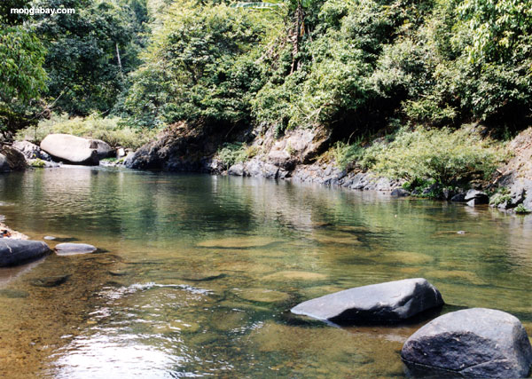 photo of creek